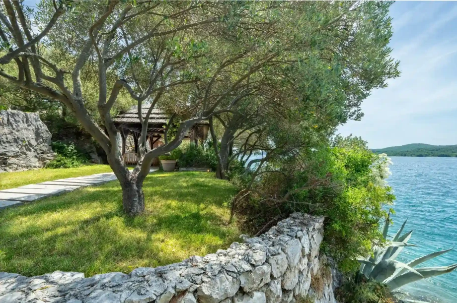Olive grove and stone walls along the seafront garden.