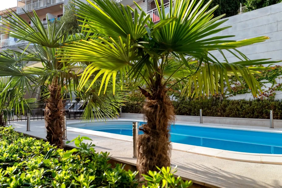Private saltwater swimming pool at Lola’s Summer House in Hvar